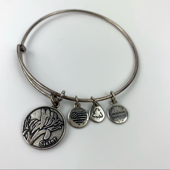Alex and Ani Silver Bangle Sister Charm bracelet - Picture 4 of 14